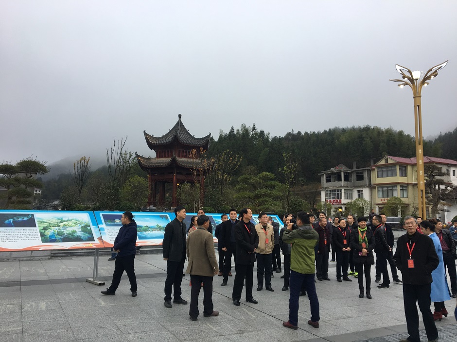 1551083790248436.jpg 2.jpg