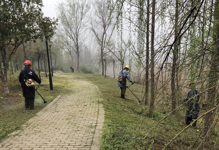 1585722178740310.jpg ad01172e9cbb573a274256b3f87ea8e.jpg